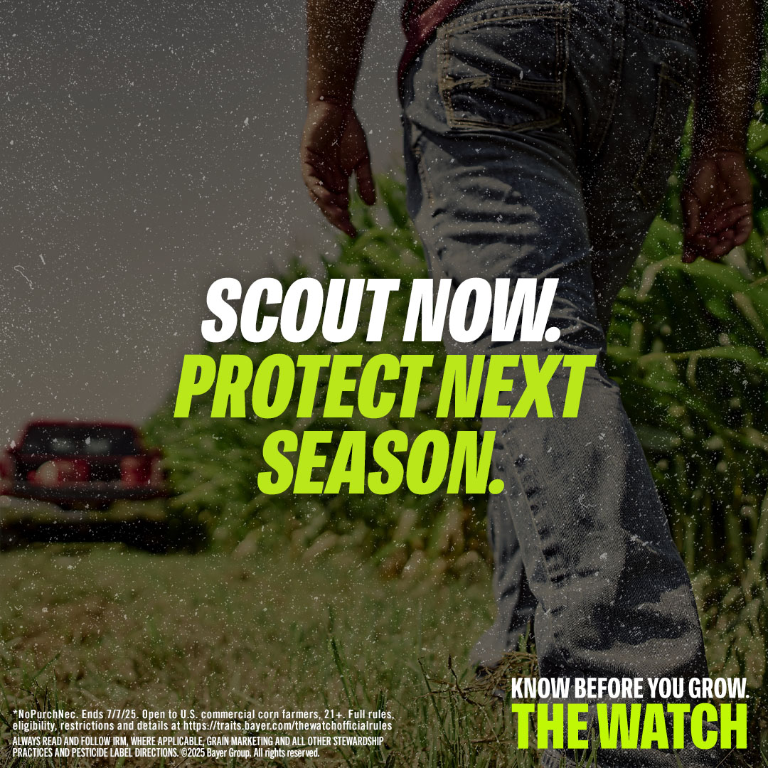 BayerTraits's tweet image. Scouting helps you understand what your fields are facing and helps to protect next season’s yield potential. Learn how to scout the right way. spr.ly/6012NvJ7n #RootwormWatch