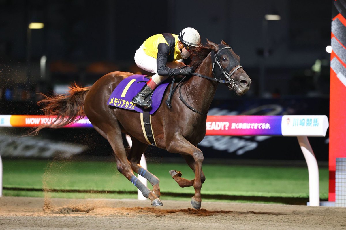 関東オークス 写真速報】 本日、川崎競馬場で関東オークスが行われ