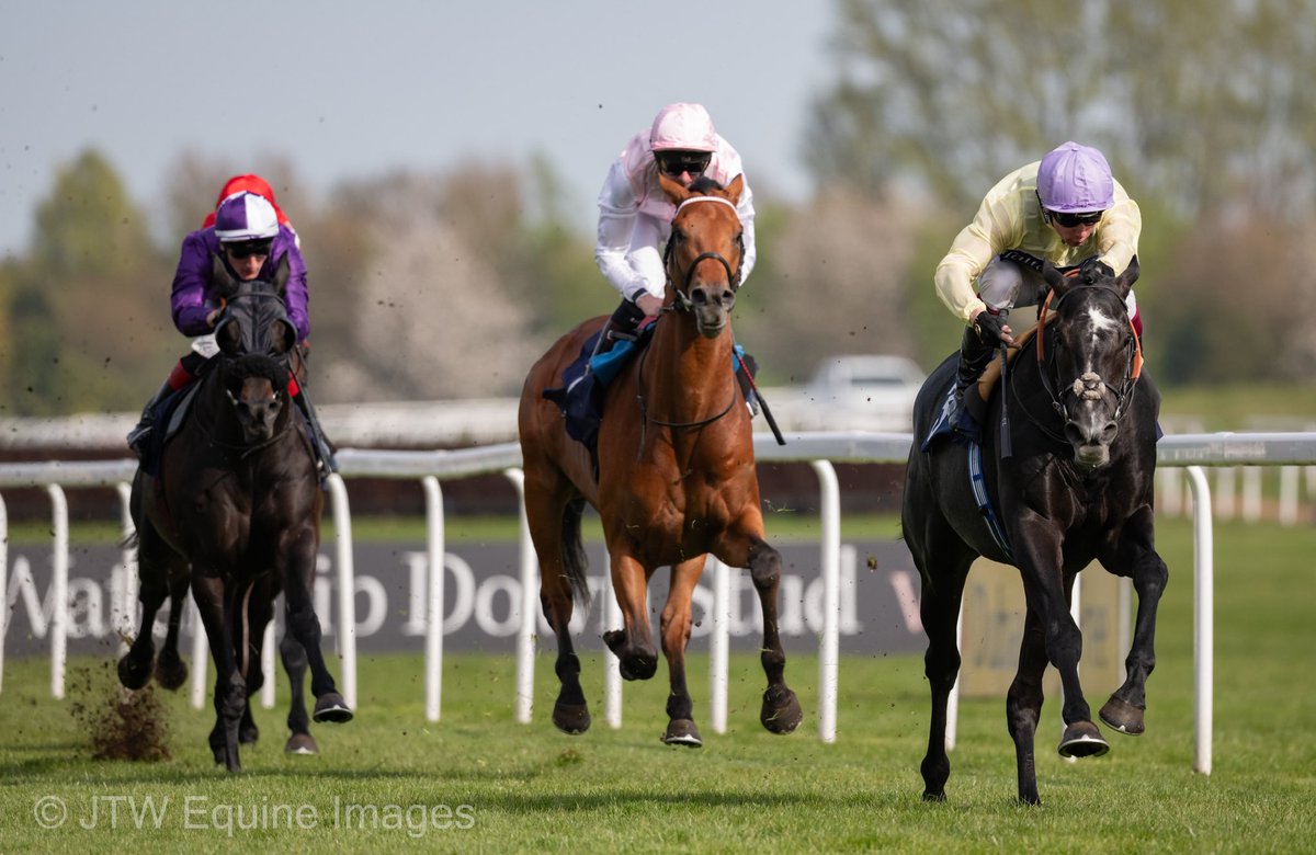 JTW Equine Images (@jtwequineimag) on Twitter photo A horse that has improved for a trip is number 5 in the Queens Vase, the 15:05 at Ascot.
It seems that the Furthur they go, the better he is…
*Yes, that was a bad pun, but enjoy the photo from him winning at Newbury in April under the champ <a href="/oismurphy/">Oisín Murphy</a> … A horse that has improved for a trip is number 5 in the Queens Vase, the 15:05 at Ascot.
It seems that the Furthur they go, the better he is…
*Yes, that was a bad pun, but enjoy the photo from him winning at Newbury in April under the champ <a href="/oismurphy/">Oisín Murphy</a> …