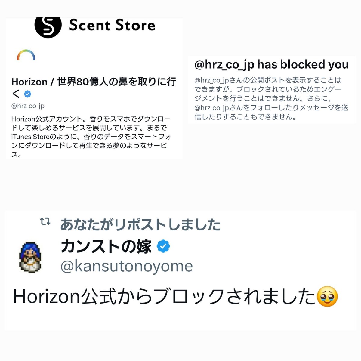 555aanisi's tweet photo. 【 重要 】
SMLのLINE公式OpenChatの管理人を任されていたスメラー代表のカンストの嫁さんが、Horizon公式とCEO Alex氏の両方からブロックされました

長年運営に協力してきた方にこの対応…さすがにおかしくないです���？

この出来事は多くの人に知ってほしい😭

#Horizon #ScentStore #拡散希望

https://t.co/3FQlV9h0i8