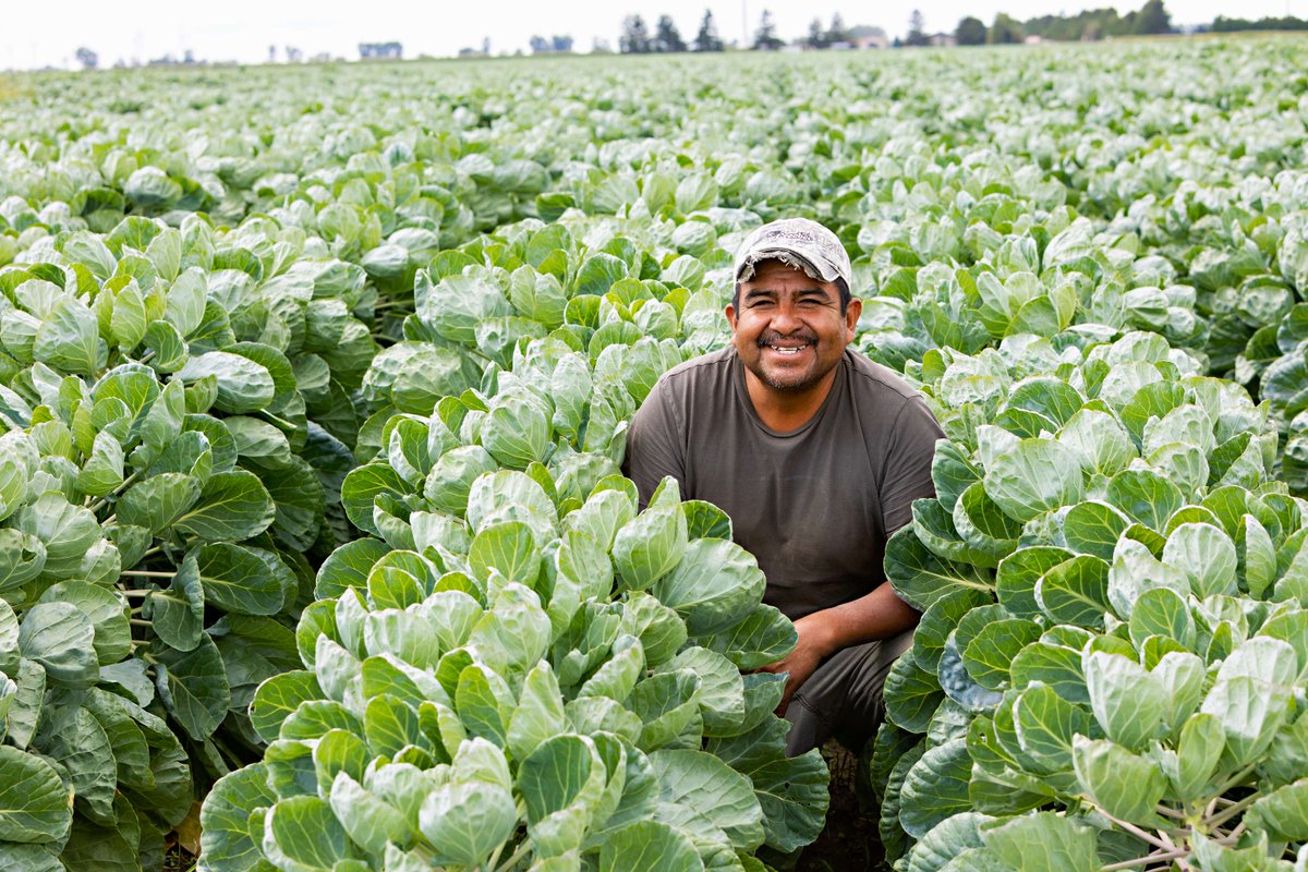 Meet Evodio from Mexico. He's been returning to Canada since 1996 after a friend who was already working here invited him. 

Read more about Evodio and his amazing story: ow.ly/I2IV50W8BWw