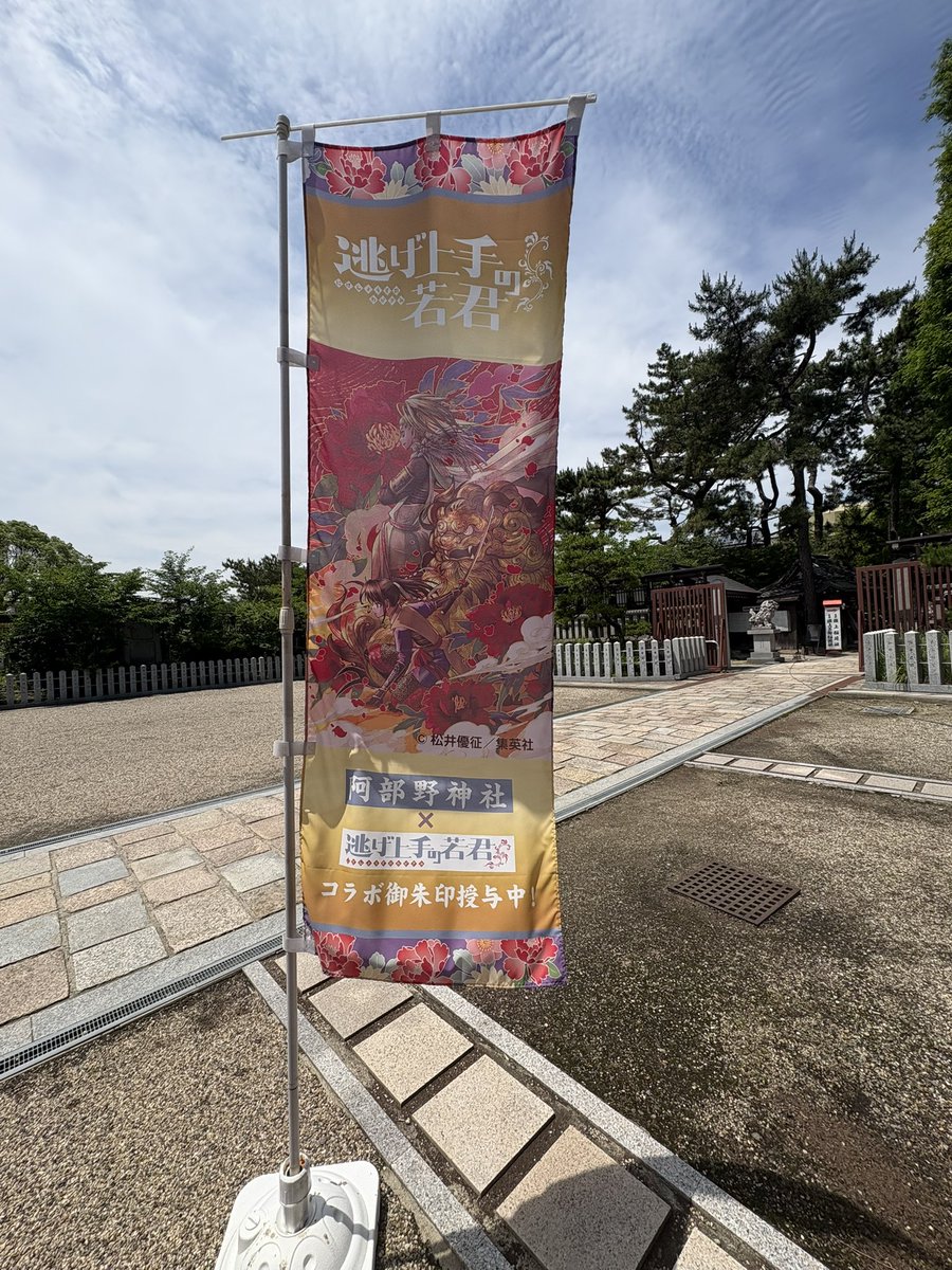 今回の旅行で北畠顕家公を祀る阿倍野神社も行けました。
逃若コラボ御朱印2種ともいただけた〜!
デザインが微妙に違ってどちらもイイ…!
花将軍に相応しく紫陽花に囲まれた綺麗な境内でした。