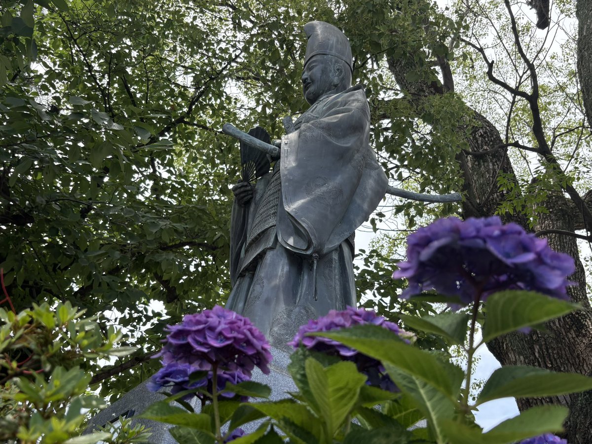 今回の旅行で北畠顕家公を祀る阿倍野神社も行けました。
逃若コラボ御朱印2種ともいただけた〜!
デザインが微妙に違ってどちらもイイ…!
花将軍に相応しく紫陽花に囲まれた綺麗な境内でした。