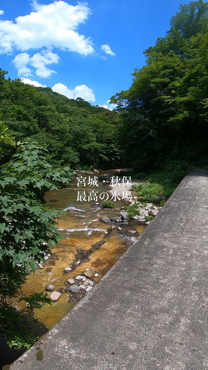 未知なる宮城｜KIMLOG｜ tweet media