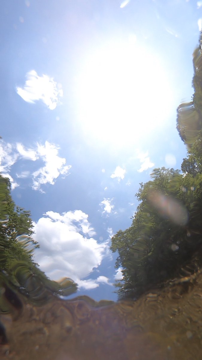 未知なる宮城｜KIMLOG｜ tweet media