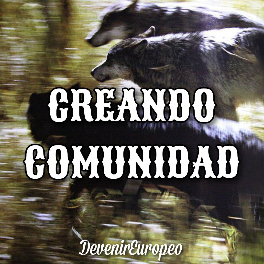 🚩CREANDO COMUNIDAD ⨁