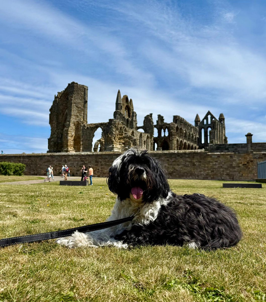 Today he's gone to Whitby to collect a Lucky Duck ahead of them closing! #wherefrancktoday
