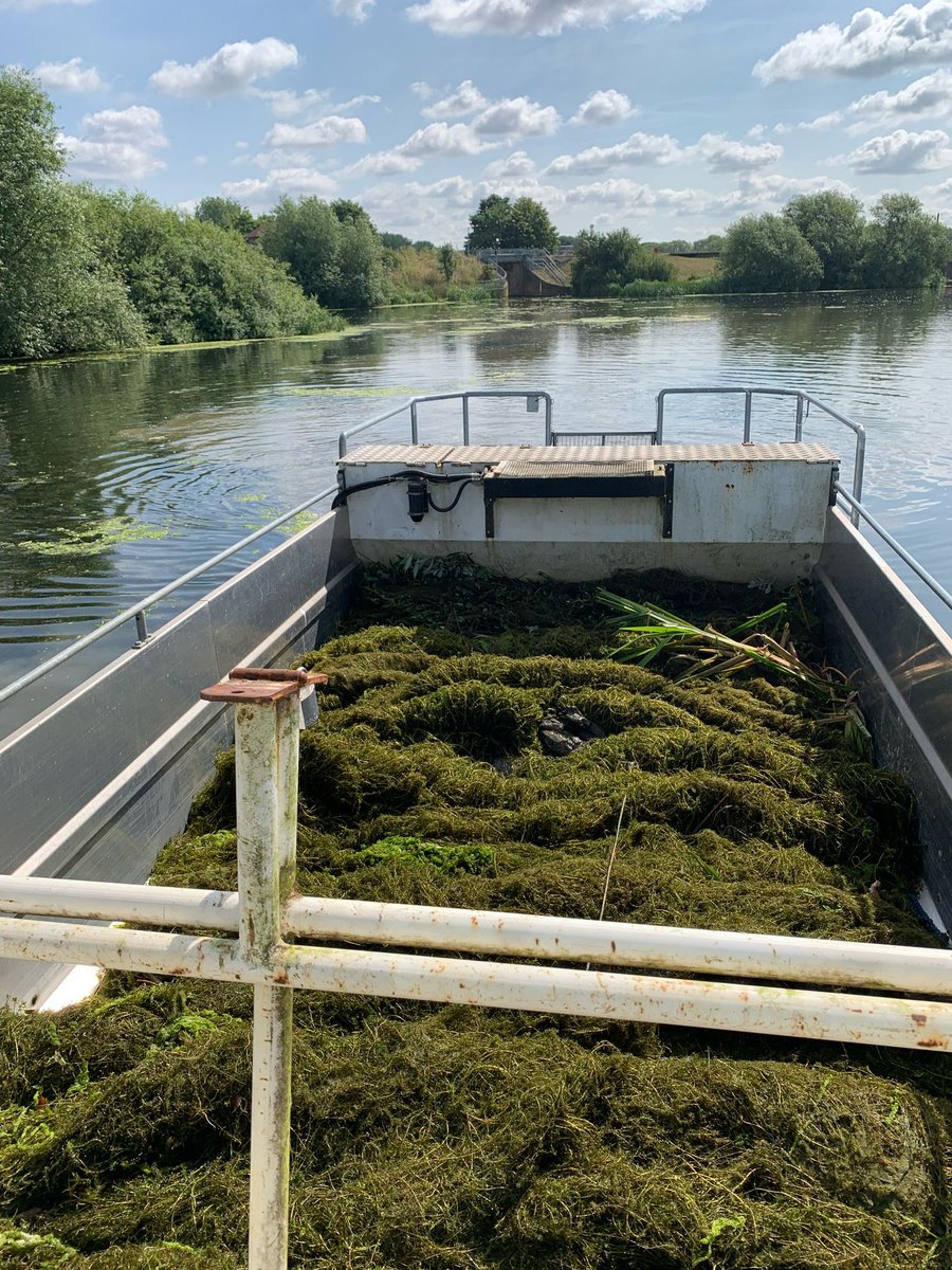The Annual weed cut of the #RiverNene is in progress from Northampton to the Dog in a Doublet. The weed cut is governed by fish spawning and we are unable to start until after 16th of June. Thank you for your patience &amp; understanding.  Will be passing soon!  Say hello if u c us.