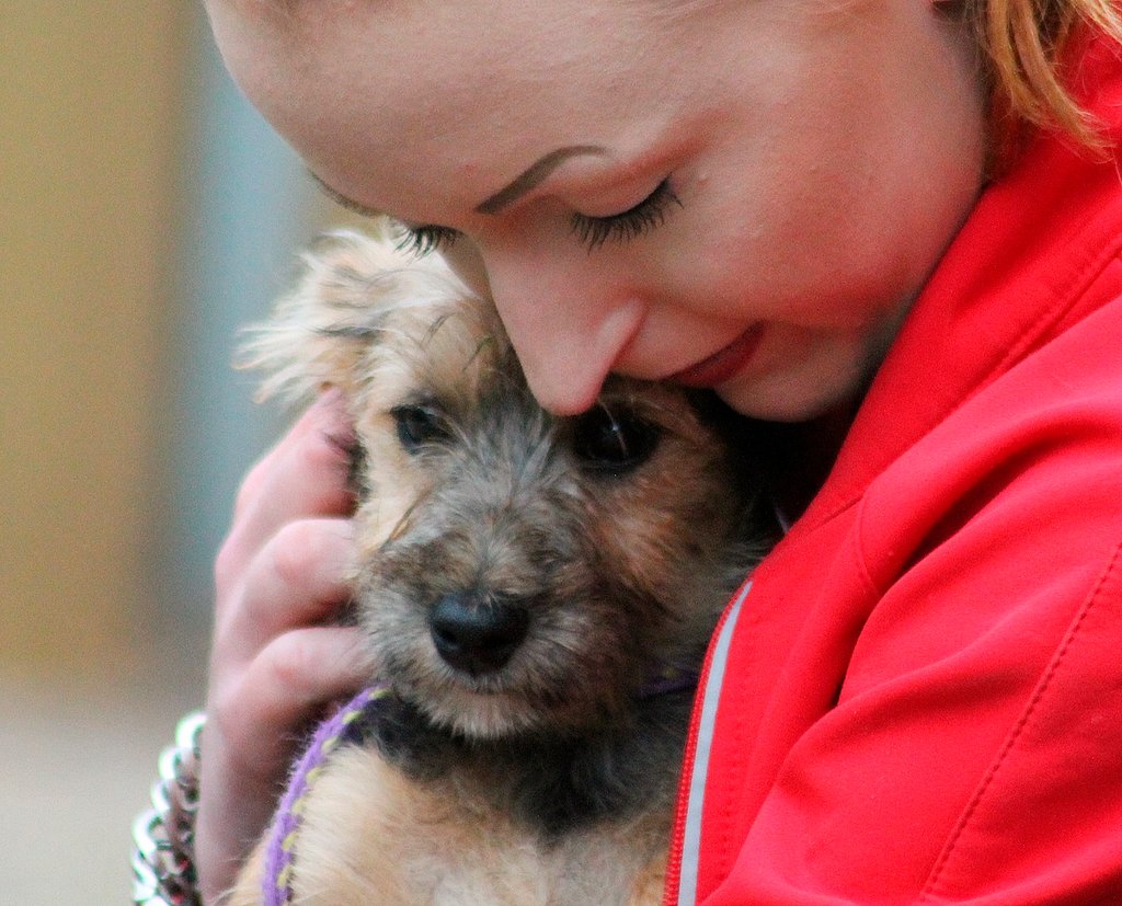 Altijd al iets willen doen voor de maatschappij? Denk dan ook aan de dieren! Dierenhulporganisaties bij jou in de buurt kunnen je hulp goed gebruiken, al is het slechts een aantal uur in de maand. Kijk op onze website voor actuele vrijwilligersvacatures: dier.nu/vacatures