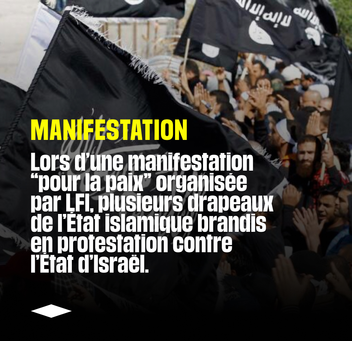 🗣️ Rima Hassan : « Il est impératif de tout mettre en œuvre pour dénoncer et combattre les crimes de l’État sioniste. »