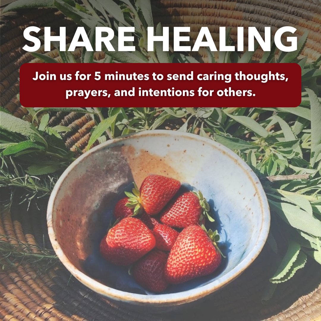 Association on American Indian Affairs tweet media