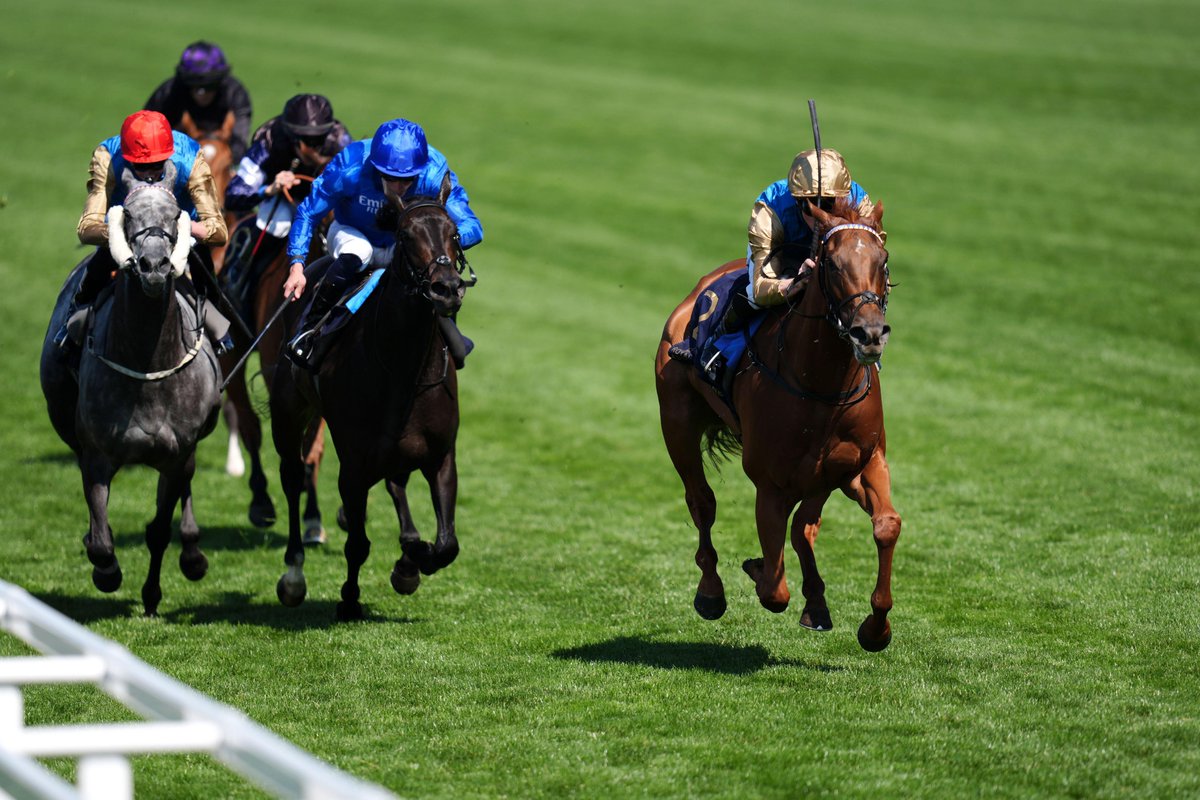 The Gosdens extend their lead as the most successful trainers of the Duke of Cambridge. 💪

Crimson Advocate beats red-hot favourite Cinderella's Dream. 🏆

#RoyalAscot