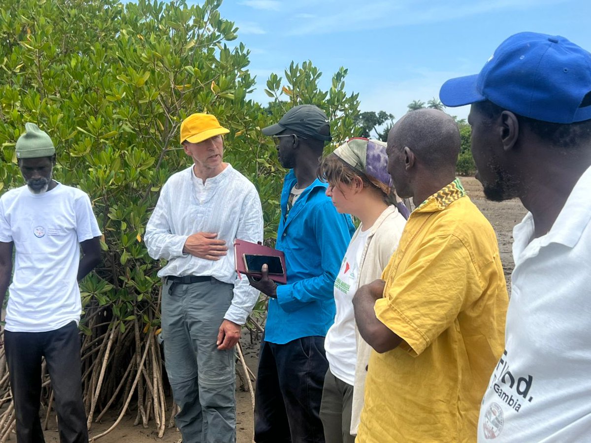 On 17th June, We joined <a href="/SankandiYouth/">Sankandi Youth Development Association</a> , ACES &amp; Edinburgh Napier University, for a successful community consultation in Sintet, WCR — moving to enrol Sintet as the 2nd rural site for our growing #BlueCarbonProject

#BlueCarbon #ClimateAction #MangroveRestoration 
#communityled
