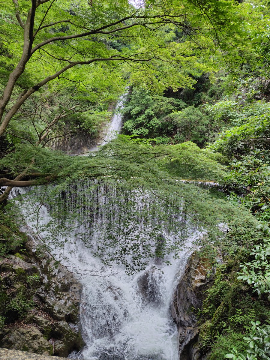 ふら〜と布引の滝に立ち寄ってきました
癒された〜