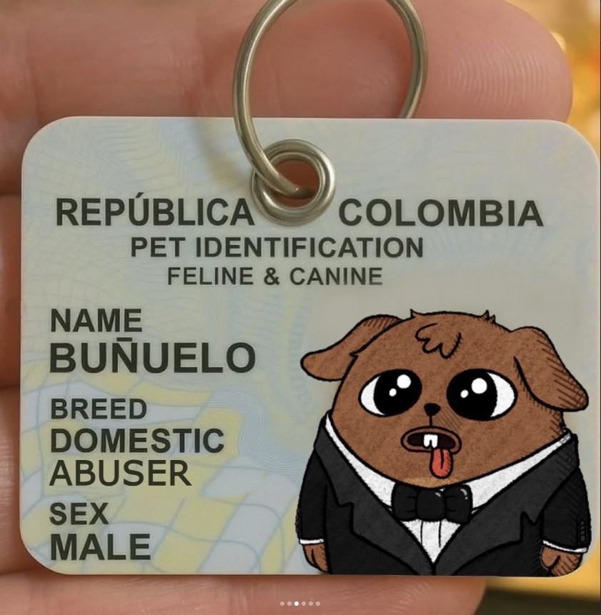 Meet Buñuelo, the dapper Domestic Abuser from República Colombia, rocking his feline &amp; canine pet ID with style. I’ve never met him and have no affiliation at all. Send him my way if you find him tho 

Everyone loves an underdog story