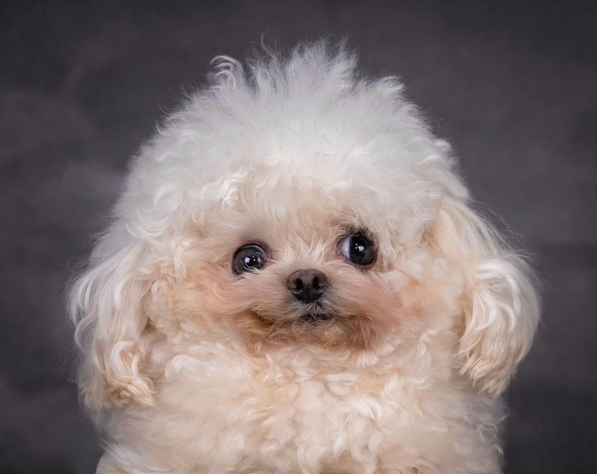 9chabard's tweet image. so what if you can see
the darkest side of me
no one will ever change this animal i have become