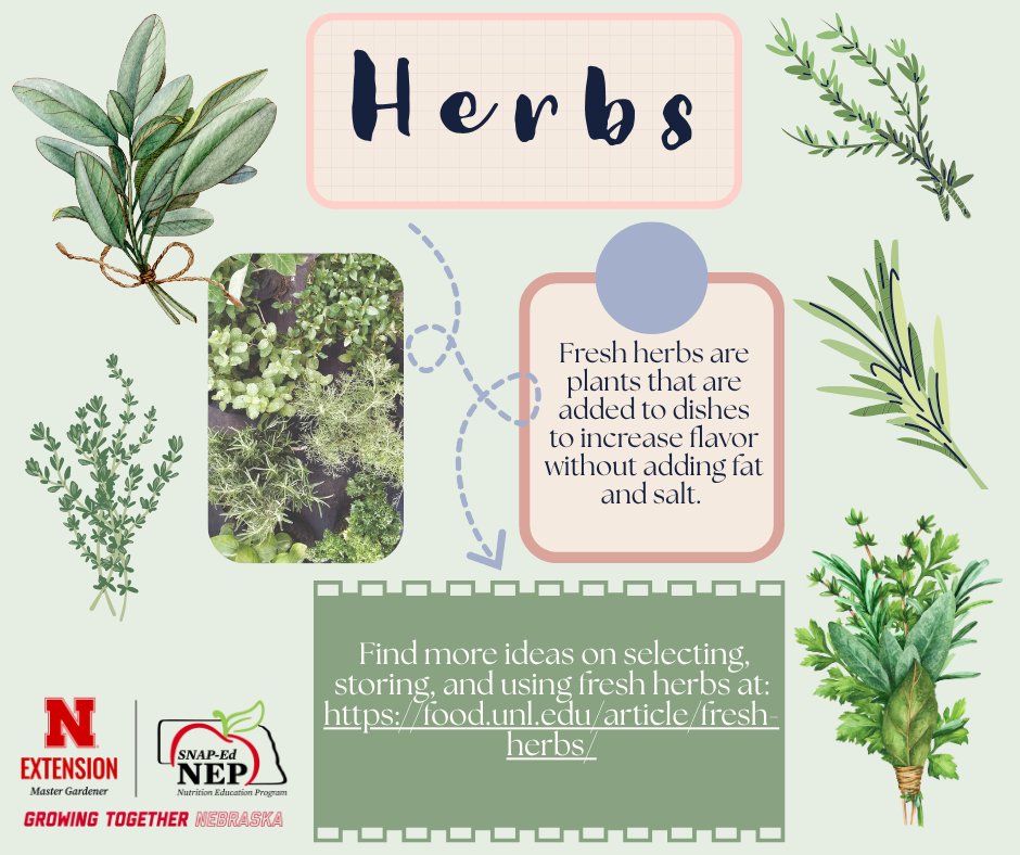 🌿 Fresh herbs add flavor without extra fat or salt!
Get tips on picking, storing &amp; using herbs: go.unl.edu/ozmt
#SNAPEdWorks