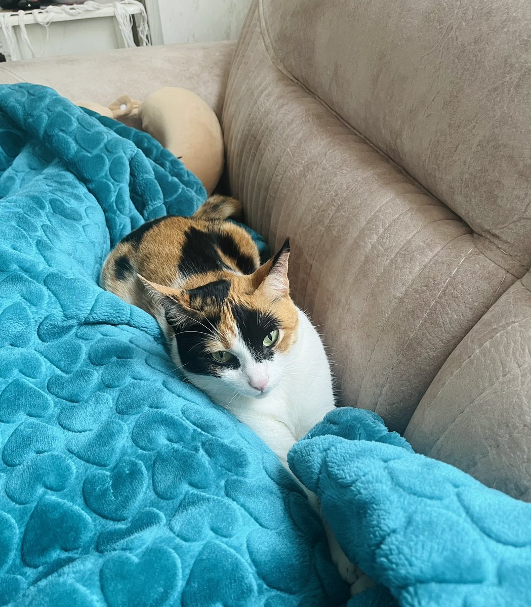 از اين كه يه داداش براش آورديم اصلا خوشحال نيست😑