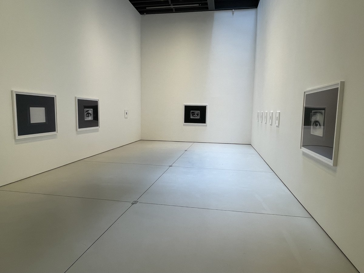 Anne Collier at Anton Kern - ★☆☆ - Recent developer tray eye isolations and older "aura" Polaroids, consolidating ideas around portraiture and capturing personalities. collectordaily.com/anne-collier-p…
