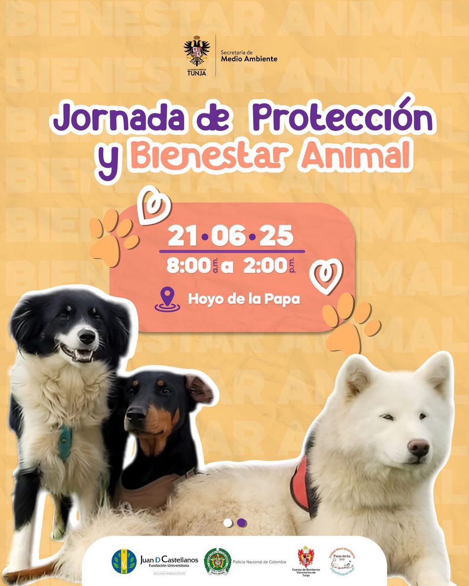 Boyaca95_6FM's tweet photo. #Agéndese | Tunja vivirá una nueva jornada de Protección y Bienestar Animal

Este sábado 21 de junio, en el sector del Hoyo de la Papa, se realizará una jornada gratuita de servicios para mascotas, de 8:00 a.m. a 2:00 p.m. https://t.co/U1LPtt1HJz