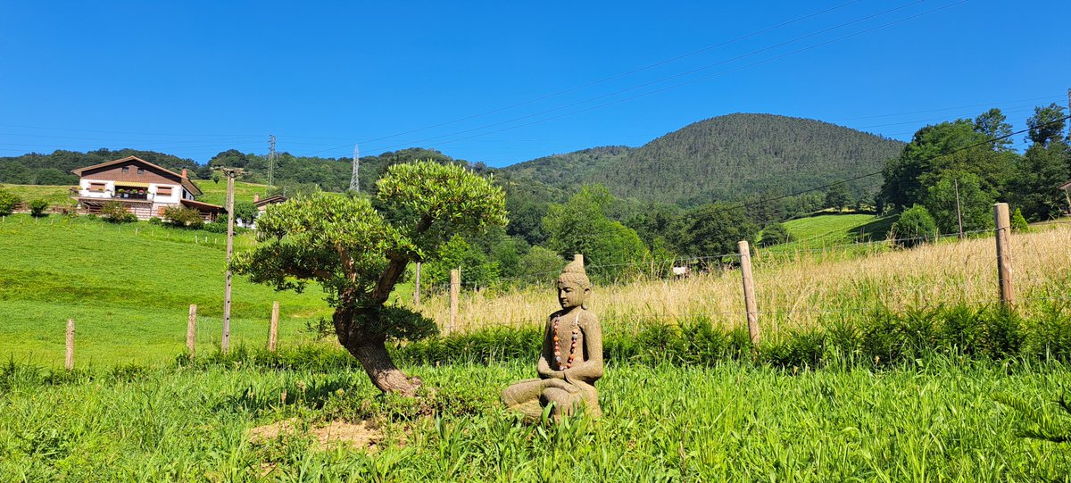 ☀️ Jornada Veraniega por #Andoain
🌡️ Tº Actual 28/29º  con una humedad de 58/64%

<a href="/Euskalmet/">Euskalmet</a>