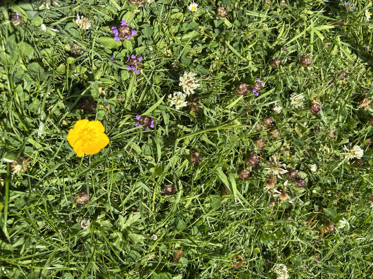 🐅Kathy Freeston 🐅 tweet media