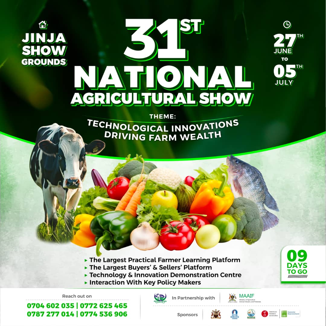 The 31st National Agricultural Show is now under 10 days. Are you ready?

Let's meet in Jinja from 27th June to 5th July 2025 for a marathon of leaning opportunities 

#AgricShow25.