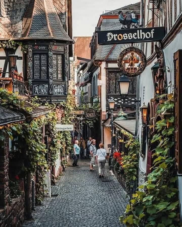 Rüdesheim am Rhein, Germany 🇩🇪