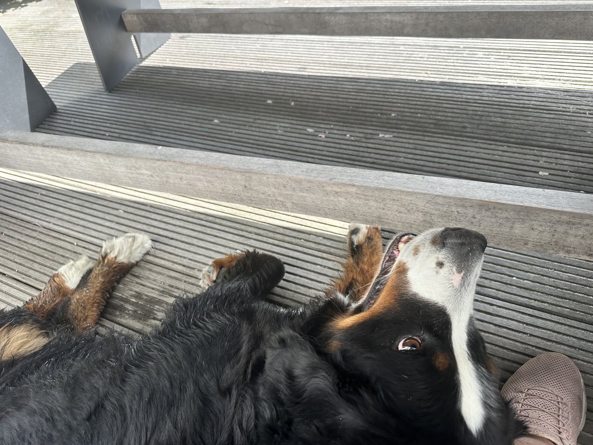 Hier geht keiner mehr nirgendwo hin… ich hab mich mal auf alle Füße gelegt, die unterm Tisch zu finden waren