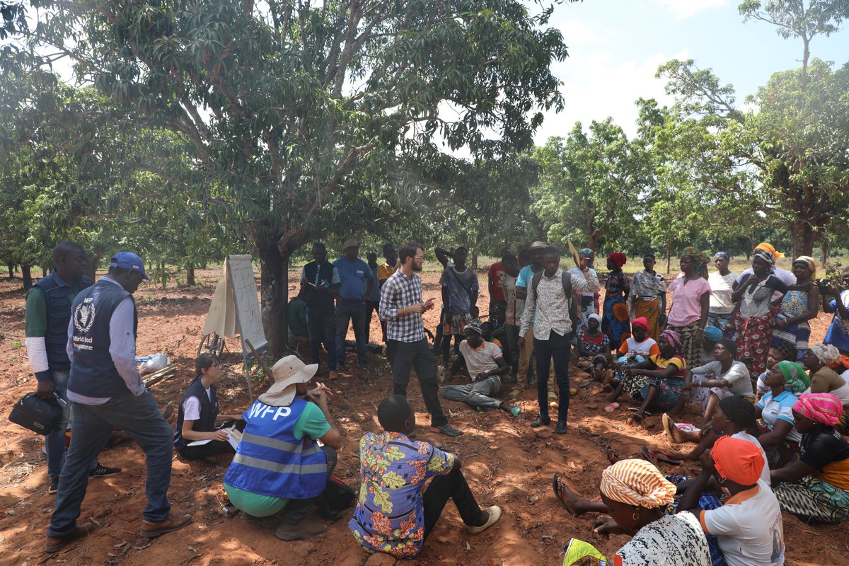 WFP_Cotedivoire's tweet image. 📢 #HappeningNow
Du 15 au 21 juin, @WFP_Cotedivoire forme des communautés de la région du Poro 🇨🇮 à l’#agroforesterie et à la préparation durable des terres. L’objectif est d’améliorer les pratiques agricoles tout en préservant les sols et les ressources naturelles.