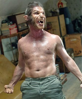 TF lover tweet media