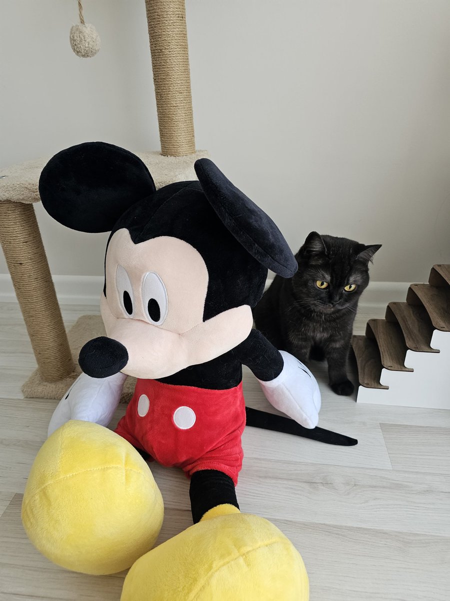 AslanMilka's tweet image. Ovevthink

#kedi #overthink #onedio #komik #eğlence