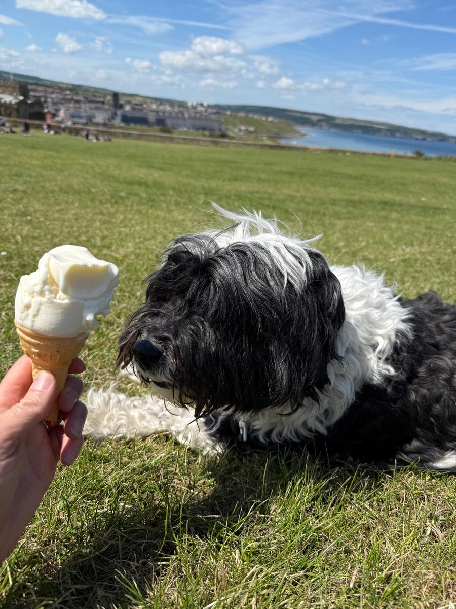 Ice cream and home!! What a life #wheresfrancktoday