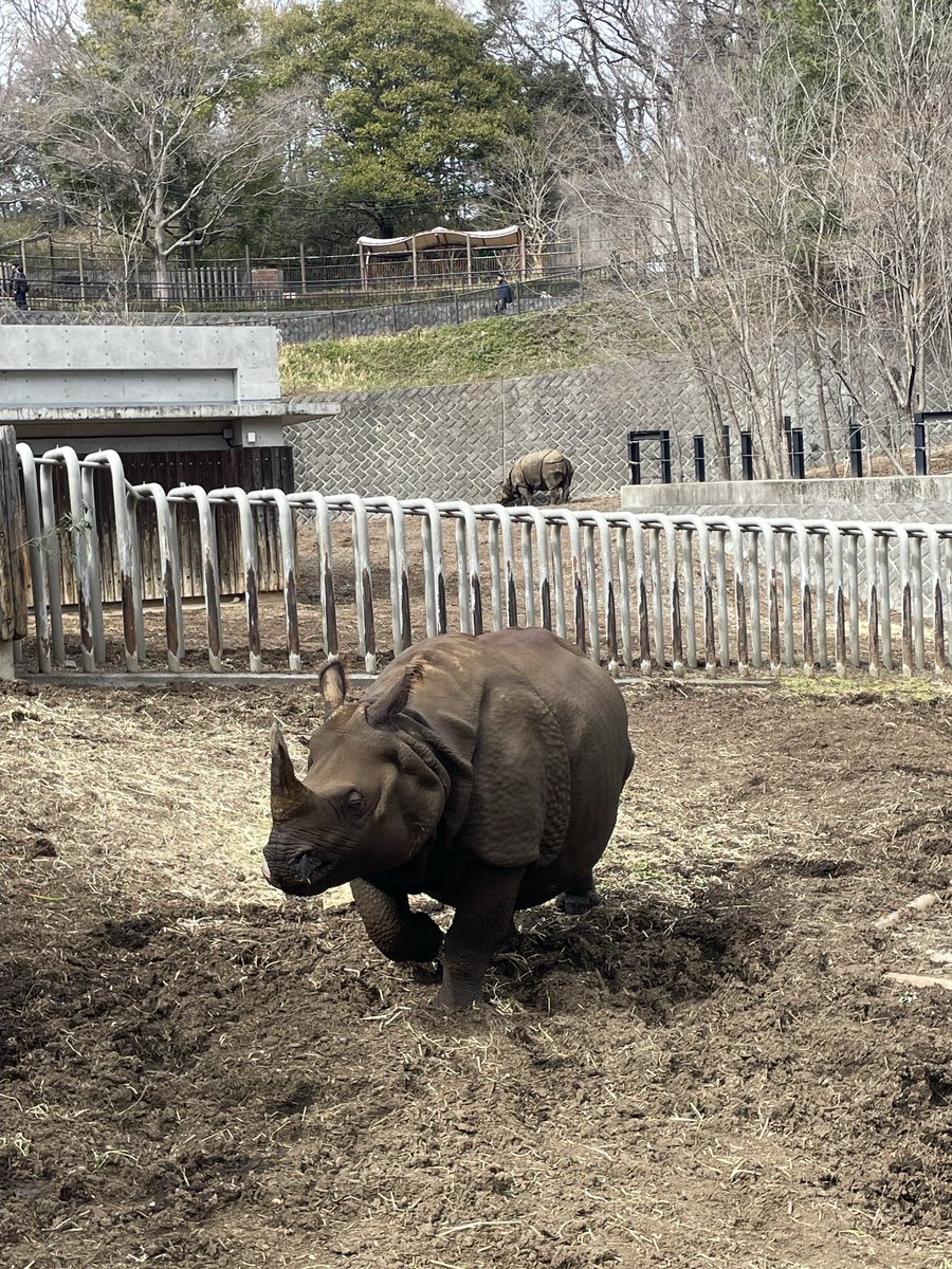 愛猫が亡くなっちゃって、遺影どうしよっかってなってて家族のグループLINEでいい感じの可愛い写真を送り合ってたんだけど、途中から写真大喜利に走っちゃって、サイとか送られてきちゃう、、