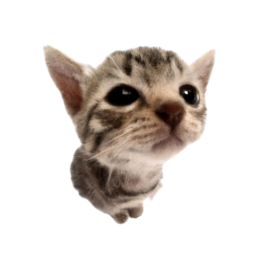 sector_sol's tweet image. gm yall, can i get it back?

i'm back to trenches, let's revive the market