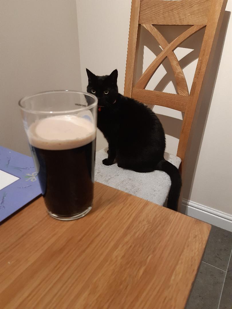 Languages Cat's French / German Word Of The Day is Ouf! / Puh! = Phew! 
Les examens sont finis! Die Prüfungen sind vorbei! :)