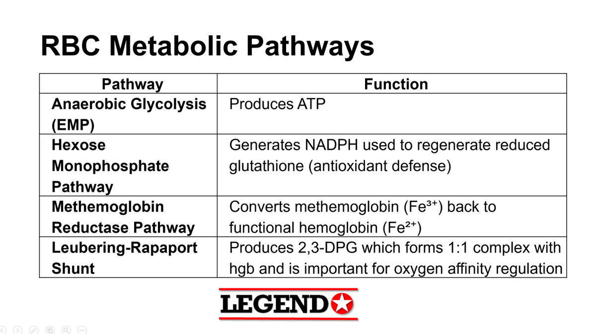 LegendReviewPH's tweet image. RBC Metabolic Pathways