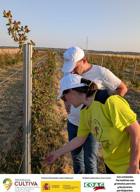 COAG CyL (@coagcyl) on Twitter photo Isaac continua su formación dentro del #ProgramaCultiva, en la explotación situada en #Almendradelpan #Zamora, <a href="/Agroberry_N/">Agroberry Original from Zamora</a> .
Se forma en técnicas avanzadas sobre el cultivo de la zarzamora.
+ℹ️:
acortar.link/uKNvE4
acortar.link/SZP4P0
<a href="/gobmapa/">Ministerio de Agricultura, Pesca y Alimentación</a>
<a href="/La_COAG/">COAG</a>
<a href="/CoagCyl/">COAG CyL</a> Isaac continua su formación dentro del #ProgramaCultiva, en la explotación situada en #Almendradelpan #Zamora, <a href="/Agroberry_N/">Agroberry Original from Zamora</a> .
Se forma en técnicas avanzadas sobre el cultivo de la zarzamora.
+ℹ️:
acortar.link/uKNvE4
acortar.link/SZP4P0
<a href="/gobmapa/">Ministerio de Agricultura, Pesca y Alimentación</a>
<a href="/La_COAG/">COAG</a>
<a href="/CoagCyl/">COAG CyL</a>