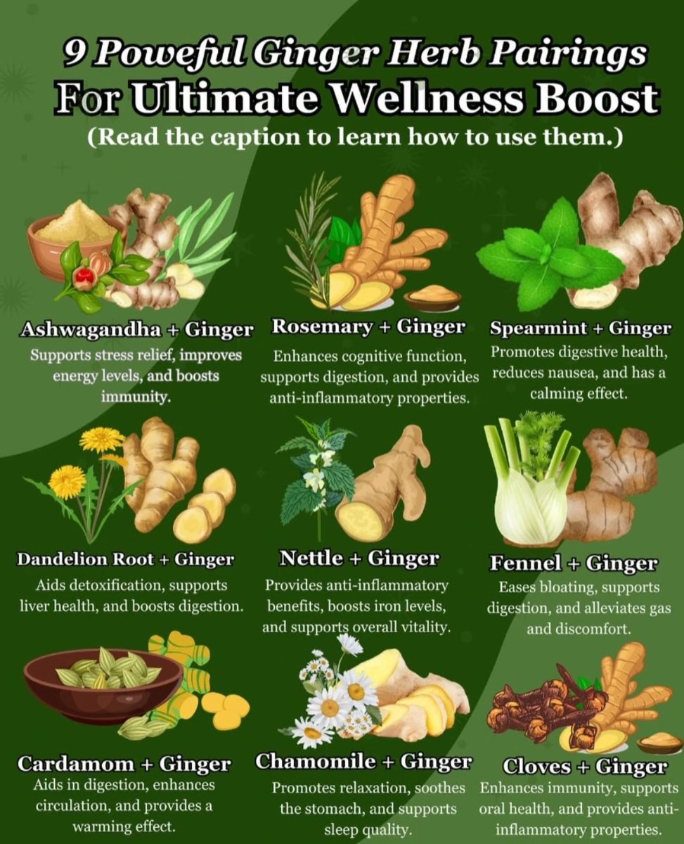 Want to level up your wellness routine with one simple root? Start pairing ginger with these powerhouse herbs for next-level benefits!🍀🦰🫚