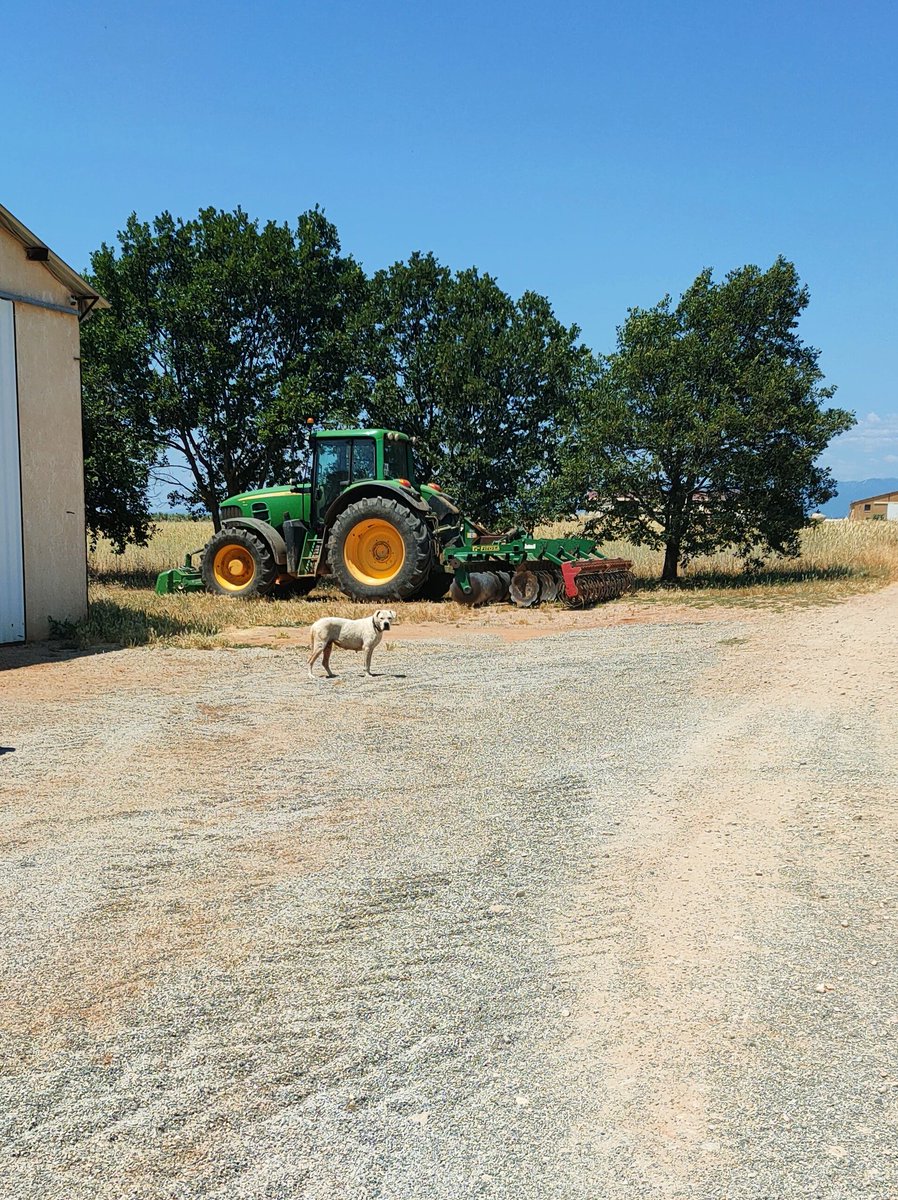 🖤🕸️🦷Tiger'hysope du Chaos🦷🕸️🖤 tweet media