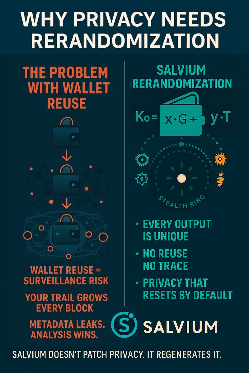 $SAL - Why Privacy Needs Rerandomization <a href="/salvium_io/">🟢 Salvium</a>