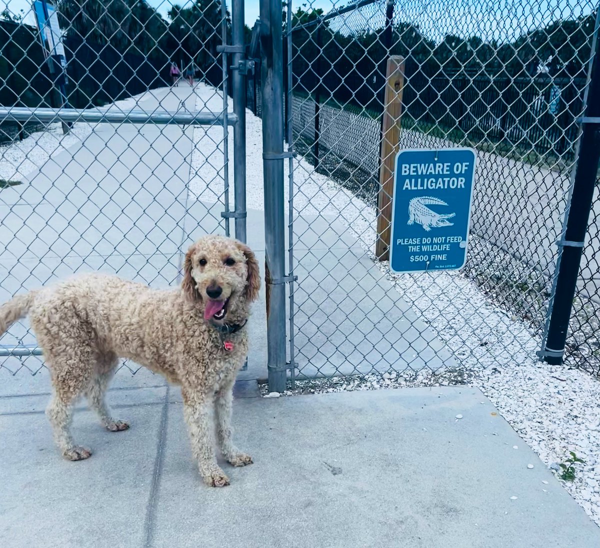 RachaelakaRach's tweet image. Alan Watts: Act As If Everything Always Works Out for You –#StopChasingLive 

youtu.be/X05BUMnbYlQ?si… via @YouTube 
The necessary pauses to hear the notes to a song 🎶 you didn’t know you were singing
-It’s in the stop where we see: what delusion pushes me #AlanWatts #DawnSpeaks