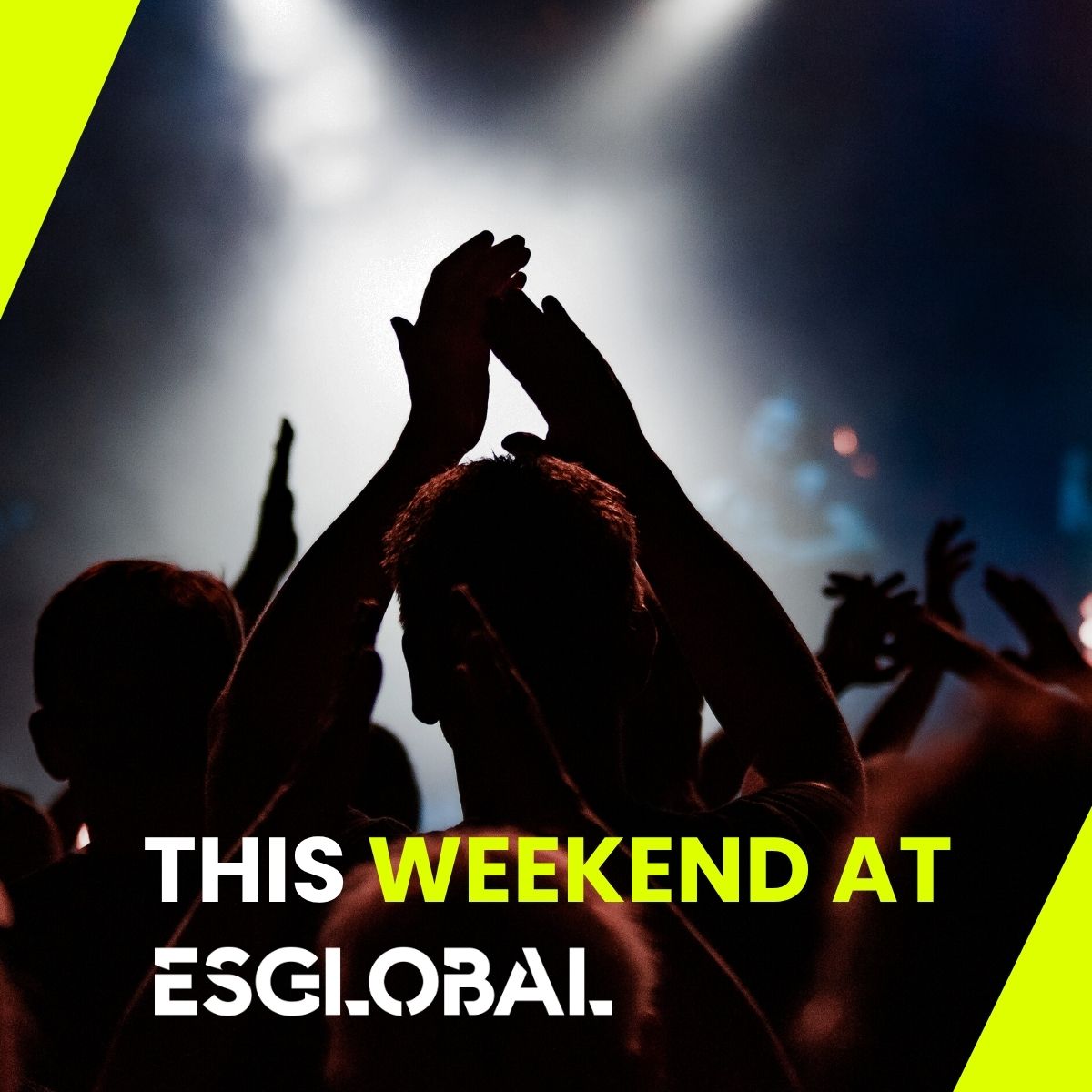 ES GLOBAL tweet media