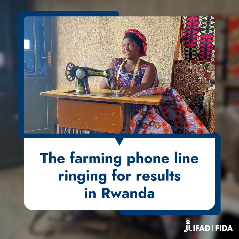 IFAD's tweet photo. 📞 In #Rwanda, phone calls are transforming rural lives.
 
An IFAD-funded initiative has provided 3,400+ farmers with access to language-specific training via phone, as well as small loans &amp; grants.
👉 Chantal used it to expand her farm and launch her business.
 
Read more ⤵️