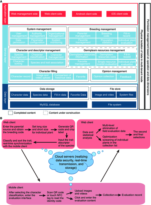 Crop breeding needs accurate data. BreedingEIS, a free open-source system, helps manage breeding data via web and mobile clients. It uses QR codes, NFC, and portable labels for efficient field evaluation and data collection.
Details: doi.org/10.34133/plant…