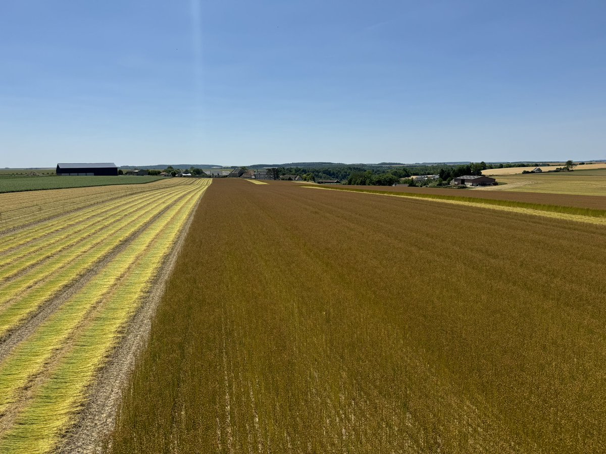 Timmers Agro Service tweet media