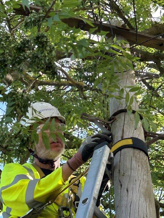 WeAreOpenreach's tweet image. How long does a pole last? 124 years and counting 🤯

We recently visited one of our oldest poles with Gary and Dale. Despite woodpecker damage, it&apos;s still going strong but sadly will be replaced within three years 🌲 

Seen an older pole? Let us know 👇

#Sustainability #Safety