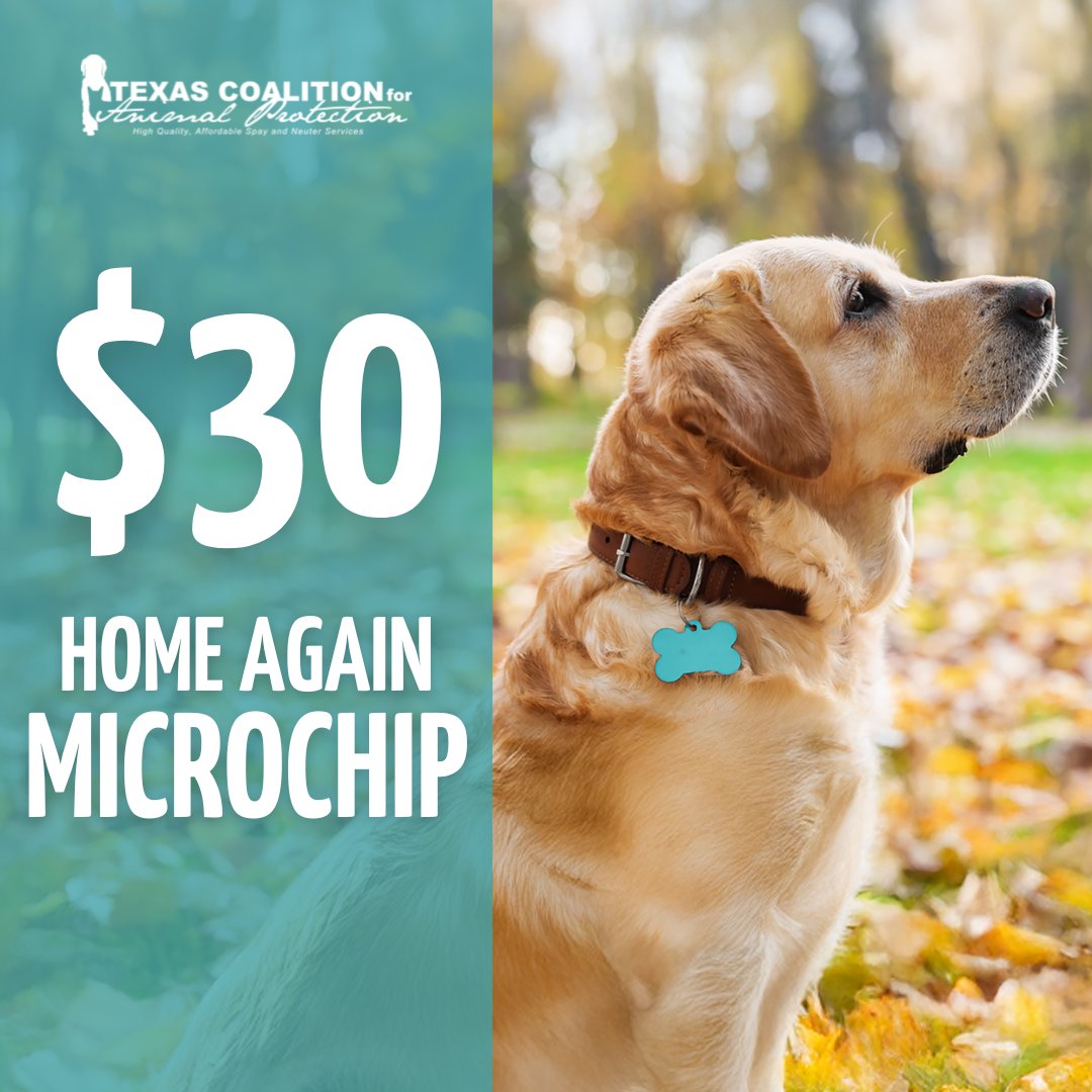 Did you know 1 in 3 pets will get lost at some point? Microchip your pet at TCAP for only $30 and help make sure they always find their way home! 🏠

Learn more at ow.ly/CTPi50VZv2N

Hours &amp; Locations: ow.ly/gPf050VZv2Q