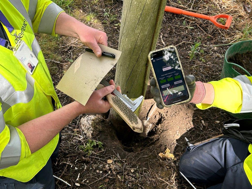 WeAreOpenreach's tweet image. How long does a pole last? 124 years and counting 🤯

We recently visited one of our oldest poles with Gary and Dale. Despite woodpecker damage, it&apos;s still going strong but sadly will be replaced within three years 🌲 

Seen an older pole? Let us know 👇

#Sustainability #Safety