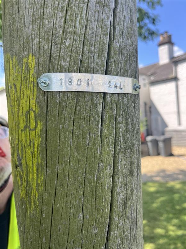 WeAreOpenreach's tweet image. How long does a pole last? 124 years and counting 🤯

We recently visited one of our oldest poles with Gary and Dale. Despite woodpecker damage, it&apos;s still going strong but sadly will be replaced within three years 🌲 

Seen an older pole? Let us know 👇

#Sustainability #Safety